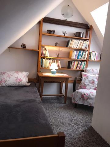 Apartman Bechyně 外观 照片